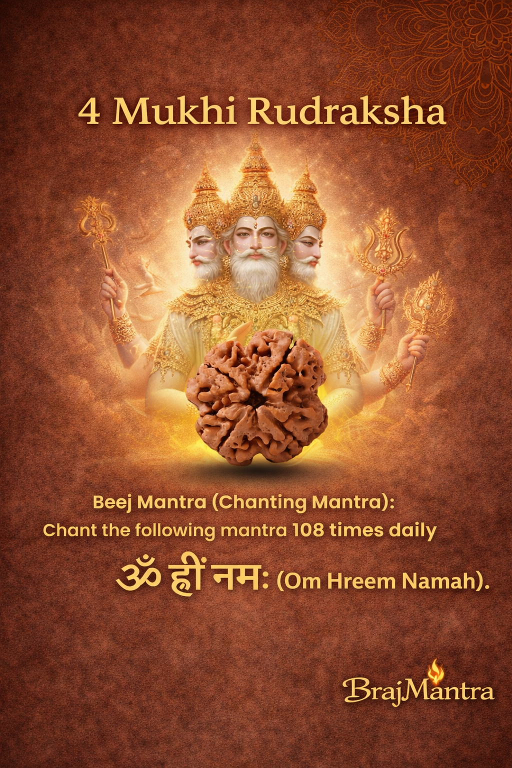 4 Mukhi Nepali Lab Certified Rudraksha