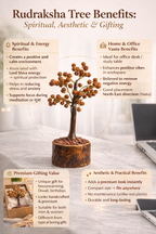 Braj Mantra 6mm 5 Mukhi Rudraksha 54 Beads Certified tree | Original Rudraksha Mala for Men & Women | Pooja, Meditation & Stress Relief