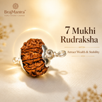 7 Mukhi Rudraksha (Nepali) | Original Bead for Wealth, Prosperity & Financial Stability | Shani Remedy | Energized by BrajMantra
