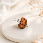 7 Mukhi Rudraksha (Nepali) | Original Bead for Wealth, Prosperity & Financial Stability | Shani Remedy | Energized by BrajMantra
