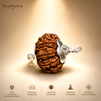 7 Mukhi Rudraksha (Nepali) | Original Bead for Wealth, Prosperity & Financial Stability | Shani Remedy | Energized by BrajMantra