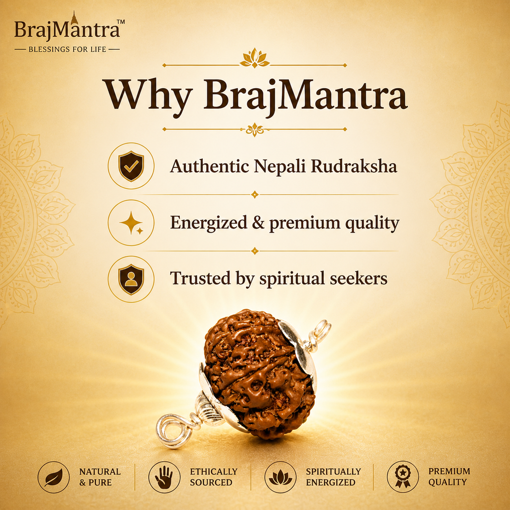 8 Mukhi Nepali Lab Certified Rudraksha