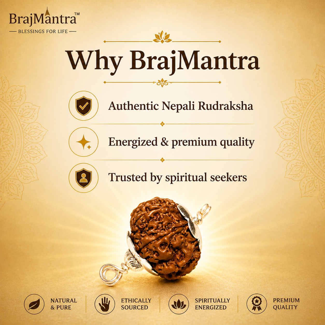 8 Mukhi Nepali Lab Certified Rudraksha
