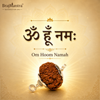 8 Mukhi Nepali Lab Certified Rudraksha