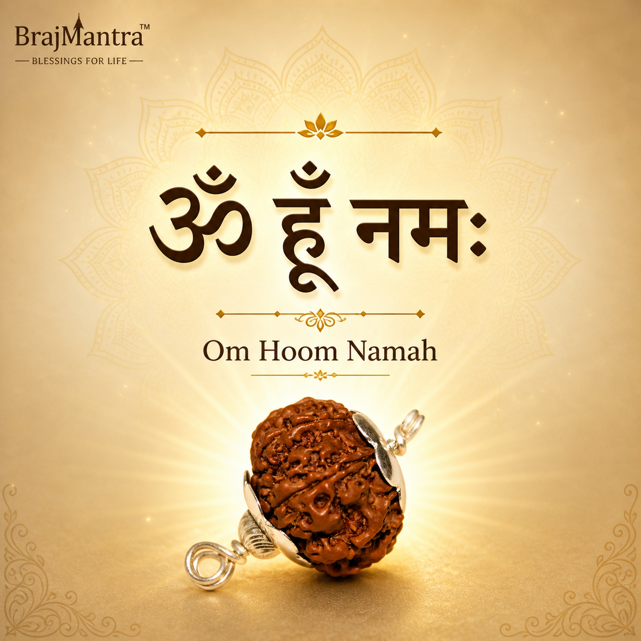 8 Mukhi Nepali Lab Certified Rudraksha