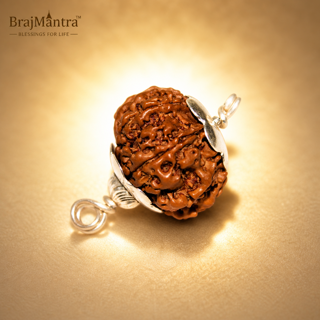 8 Mukhi Nepali Lab Certified Rudraksha