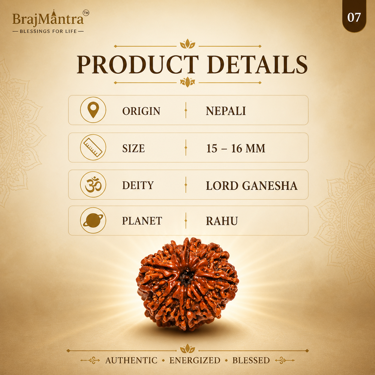 8 Mukhi Nepali Lab Certified Rudraksha