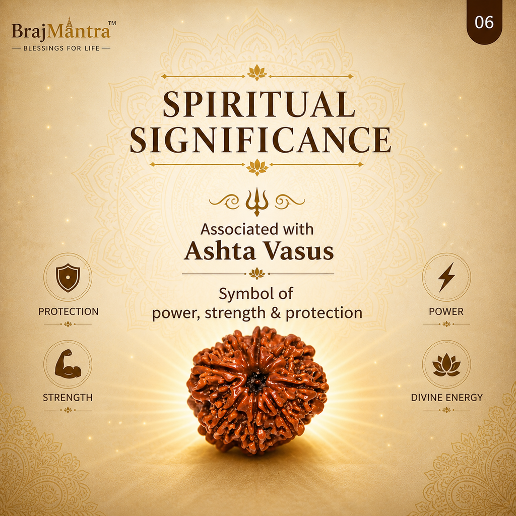 8 Mukhi Nepali Lab Certified Rudraksha