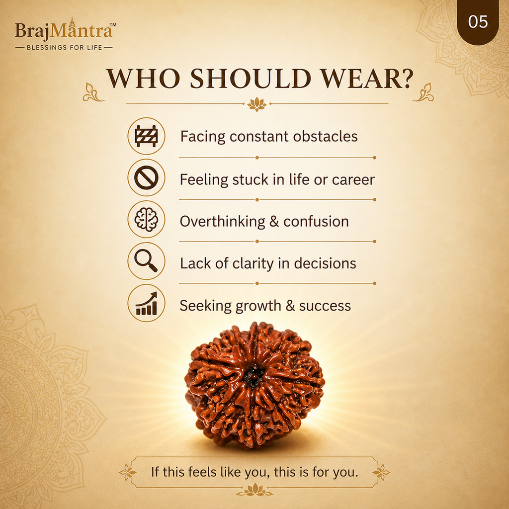 8 Mukhi Nepali Lab Certified Rudraksha