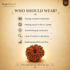 8 Mukhi Nepali Lab Certified Rudraksha
