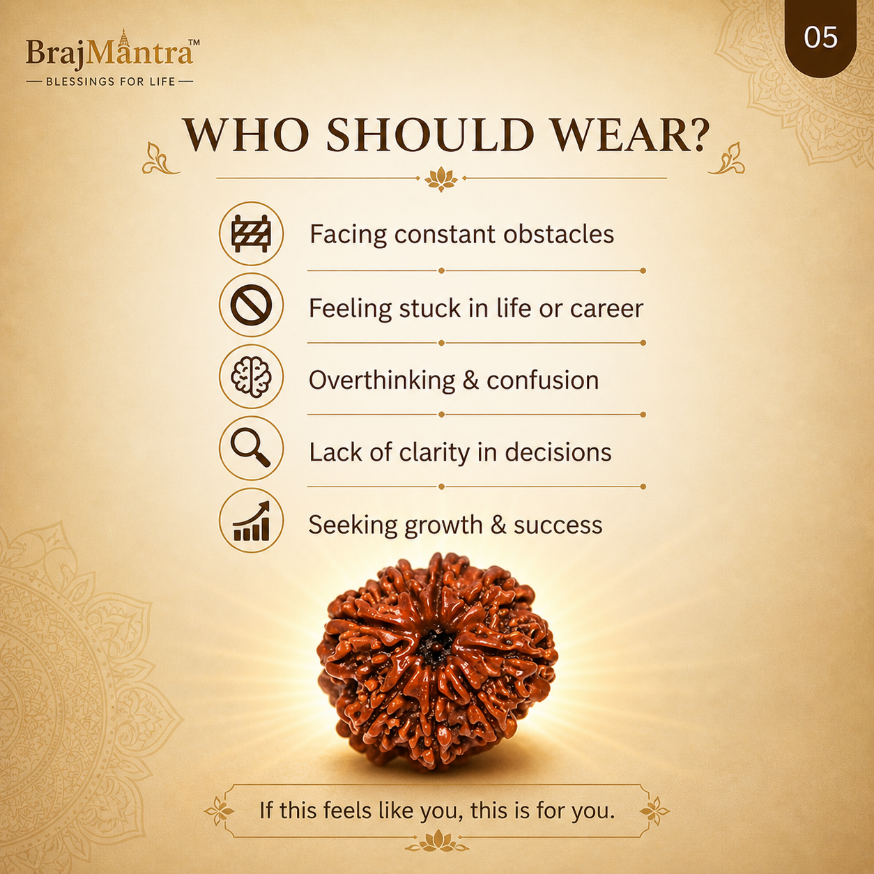 8 Mukhi Nepali Lab Certified Rudraksha