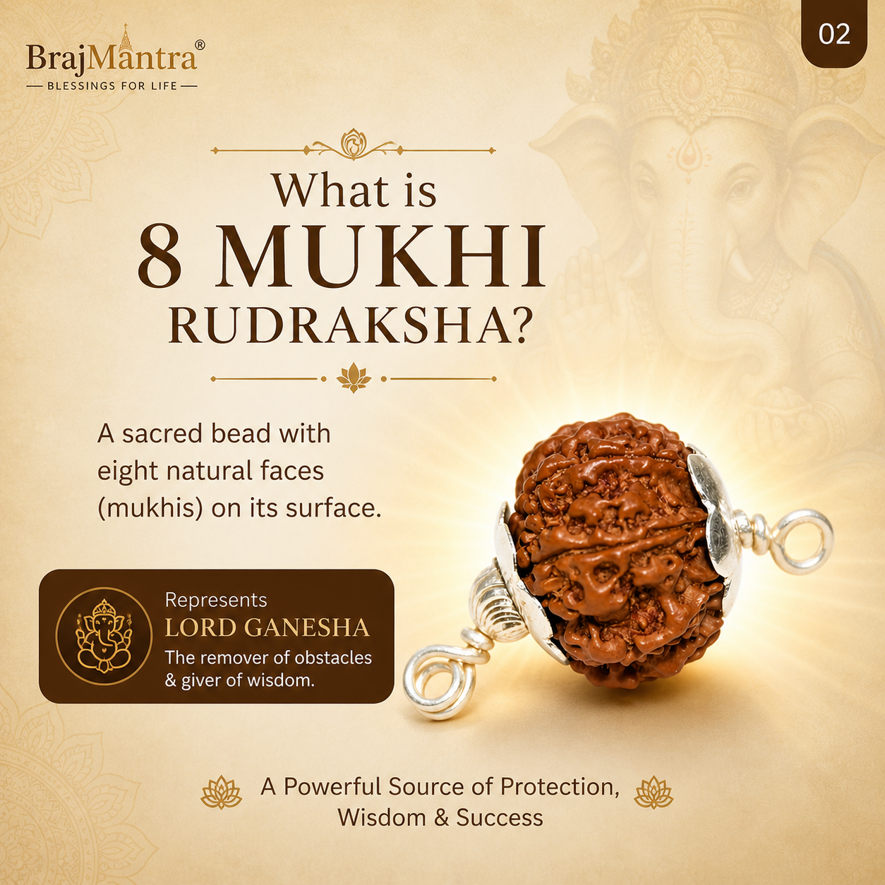 8 Mukhi Nepali Lab Certified Rudraksha