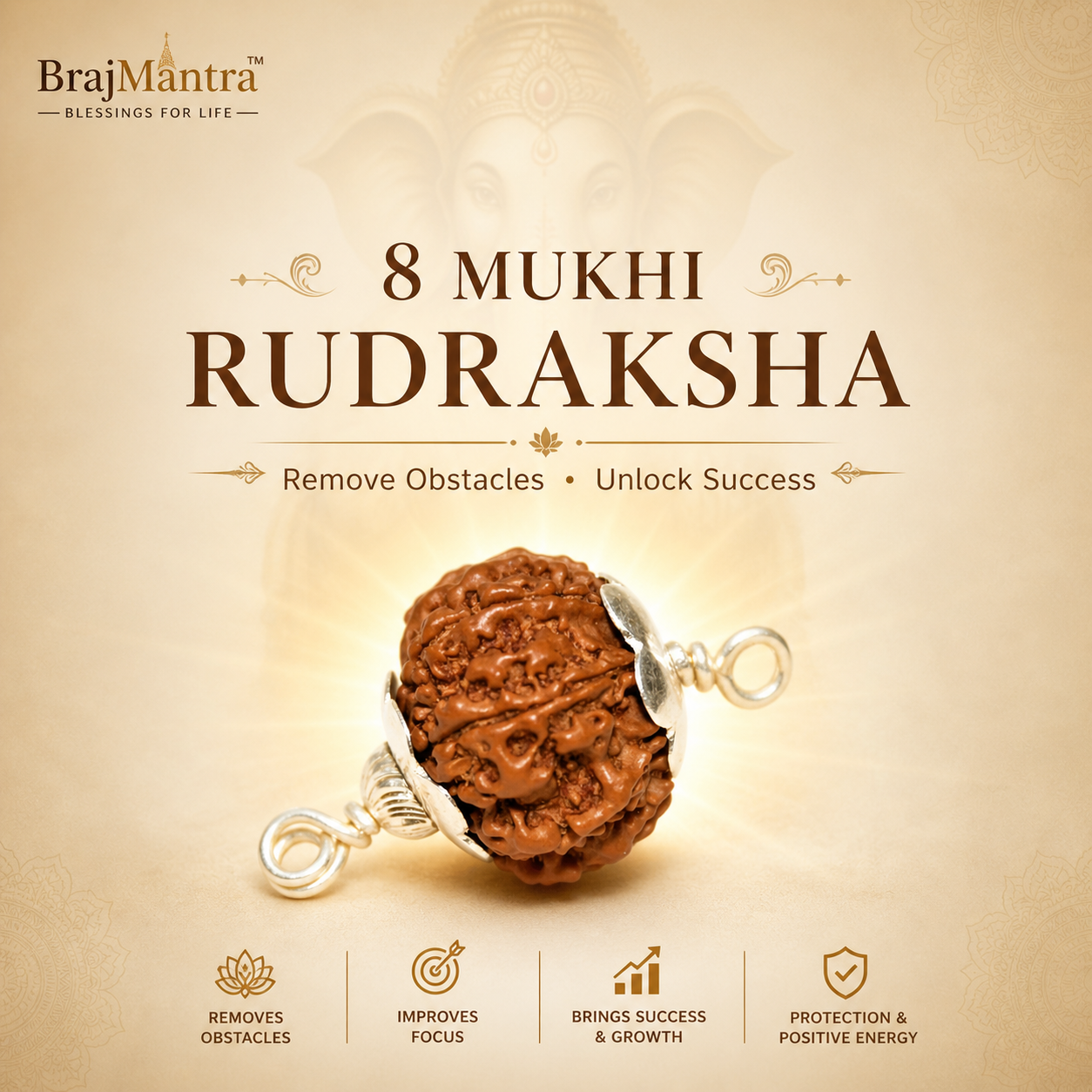 8 Mukhi Nepali Lab Certified Rudraksha