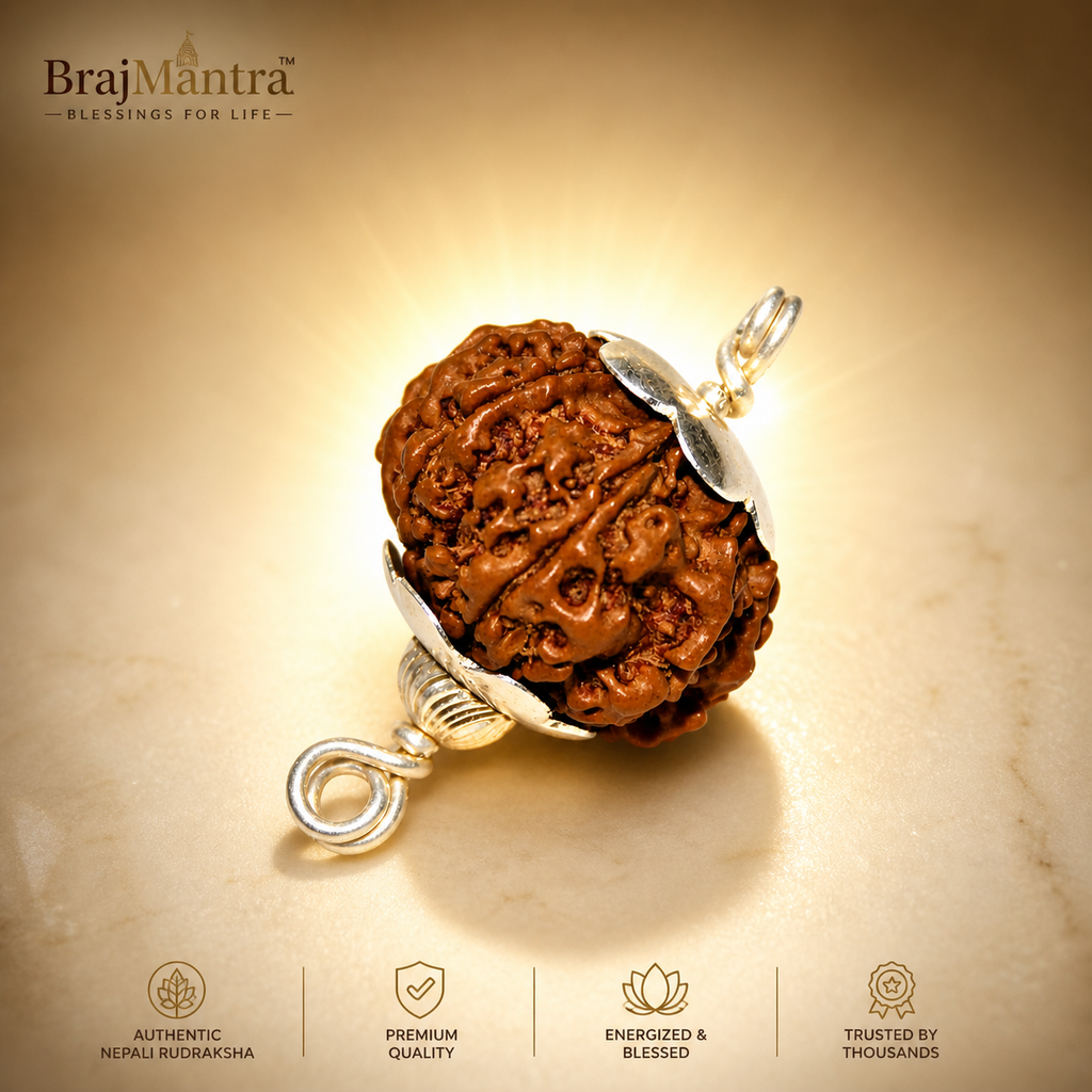 8 Mukhi Nepali Lab Certified Rudraksha