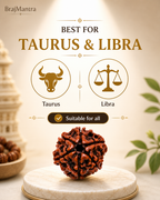 6 Mukhi Nepali Lab Certified Rudraksha