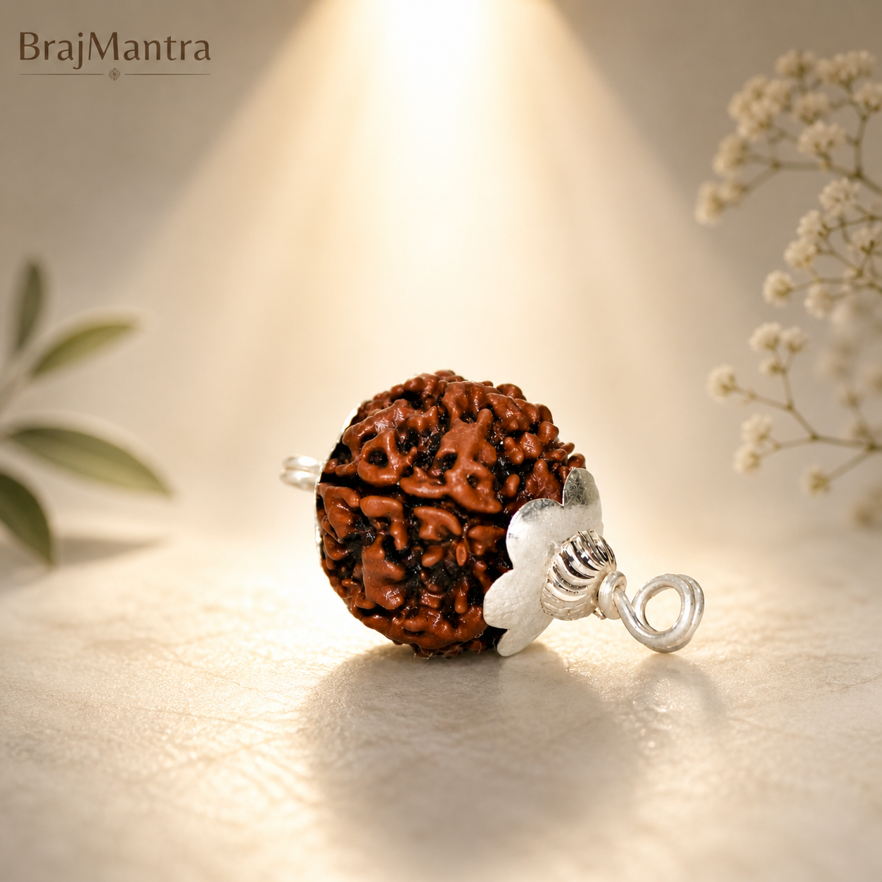 6 Mukhi Nepali Lab Certified Rudraksha