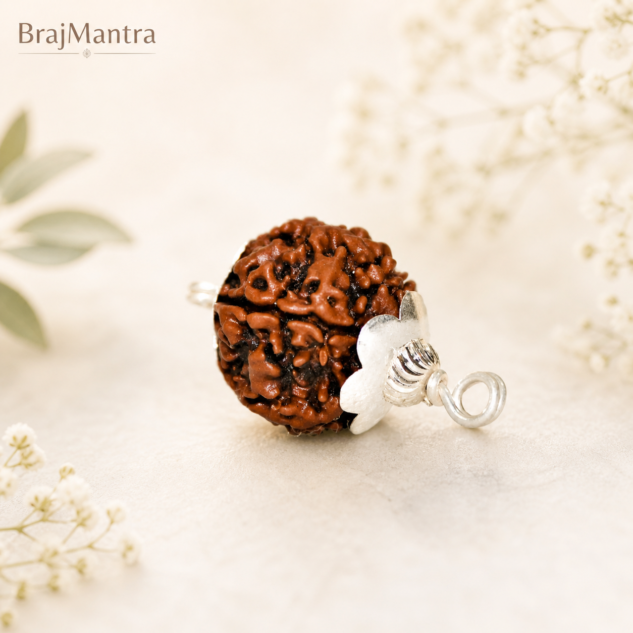 6 Mukhi Nepali Lab Certified Rudraksha