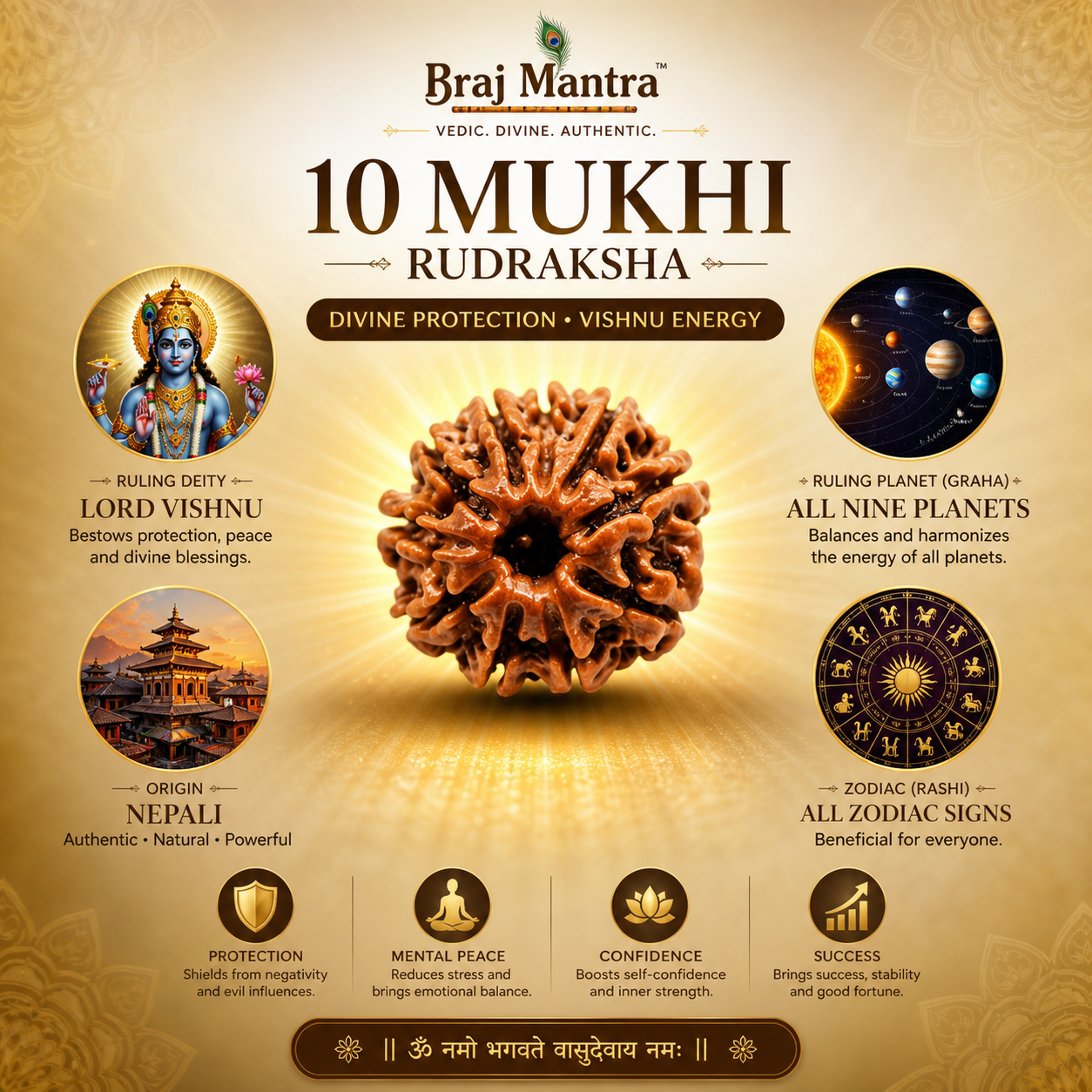 10 Mukhi Nepali Lab Certified Rudraksha