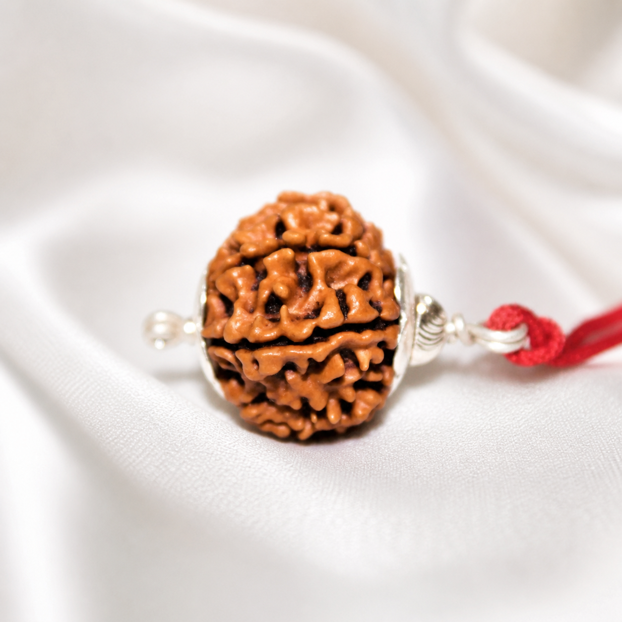 10 Mukhi Nepali Lab Certified Rudraksha