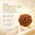 10 Mukhi Nepali Lab Certified Rudraksha