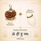 11 Mukhi Nepali Lab Certified Rudraksha