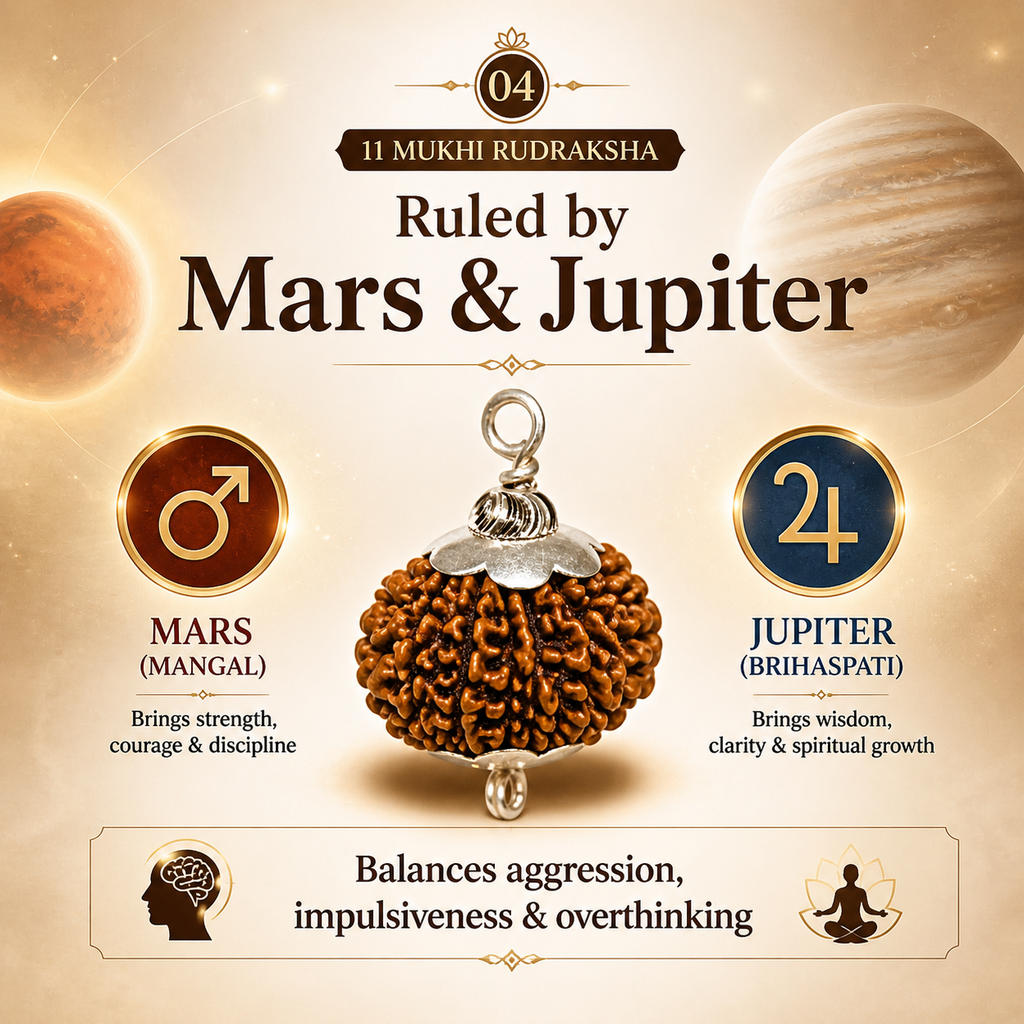 11 Mukhi Nepali Lab Certified Rudraksha