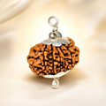 11 Mukhi Nepali Lab Certified Rudraksha