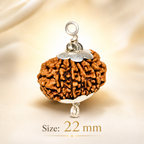 11 Mukhi Nepali Lab Certified Rudraksha