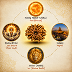 12 Mukhi Nepali Lab Certified Rudraksha