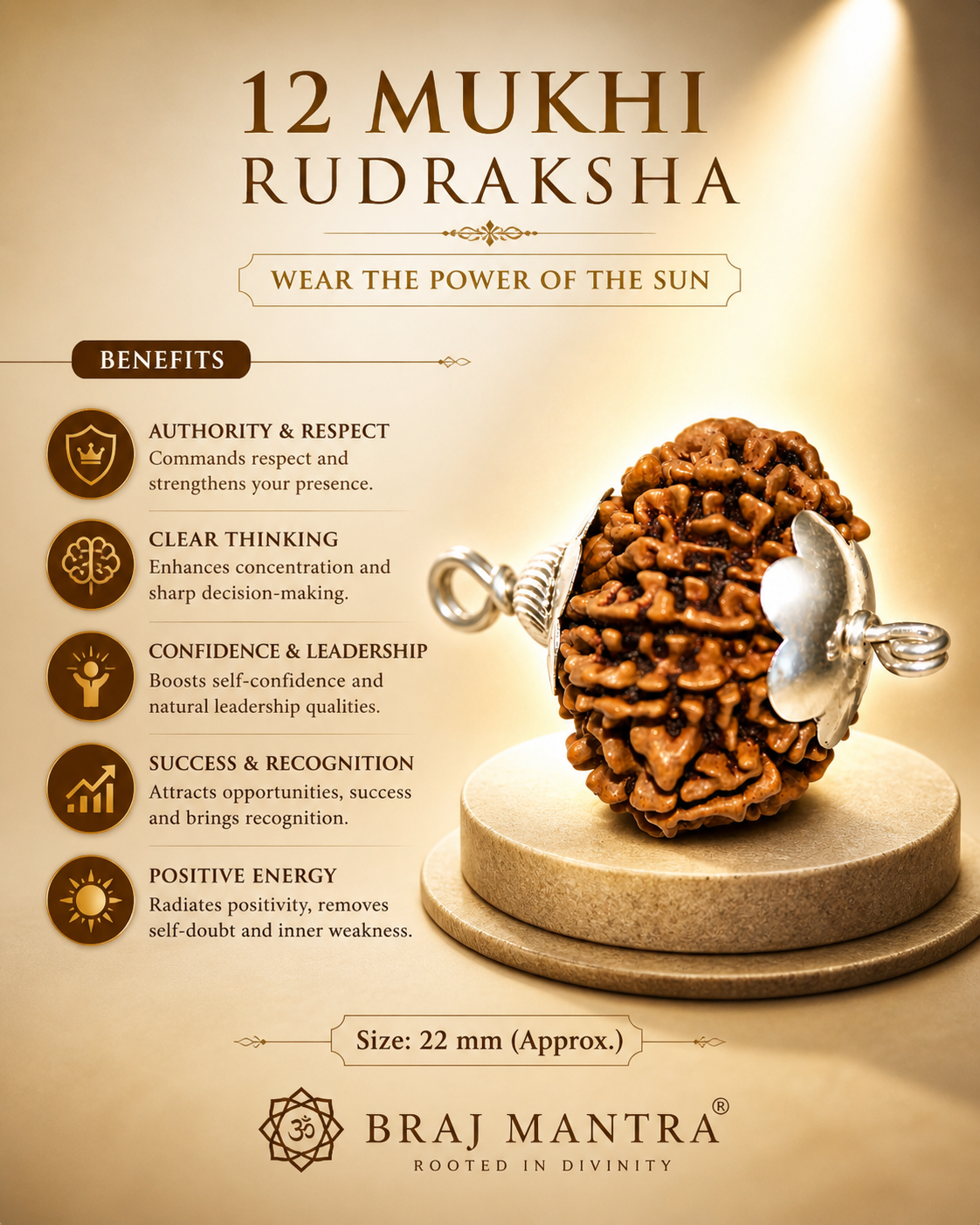 12 Mukhi Nepali Lab Certified Rudraksha