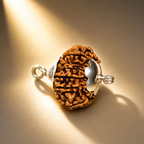 12 Mukhi Nepali Lab Certified Rudraksha