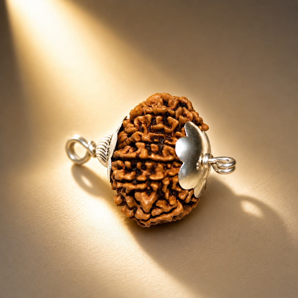 12 Mukhi Nepali Lab Certified Rudraksha