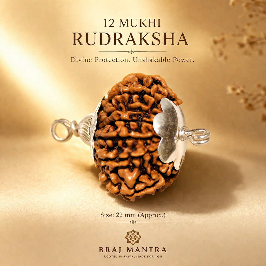 12 Mukhi Nepali Lab Certified Rudraksha
