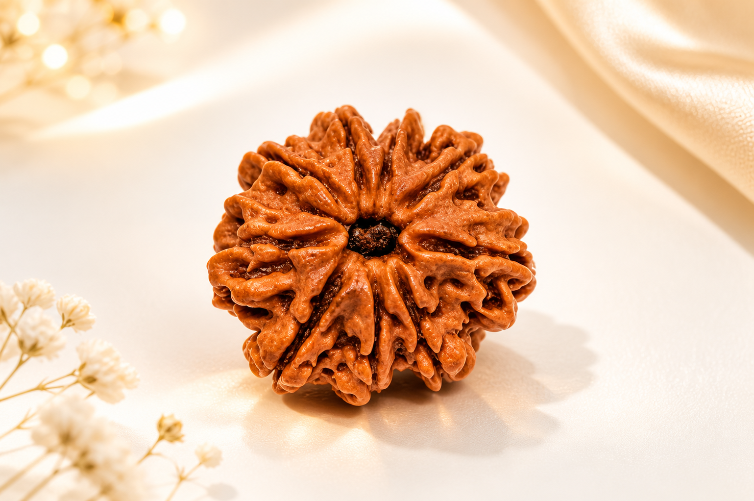 9 Mukhi Nepali Lab Certified Rudraksha