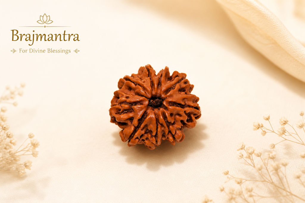 9 Mukhi Nepali Lab Certified Rudraksha