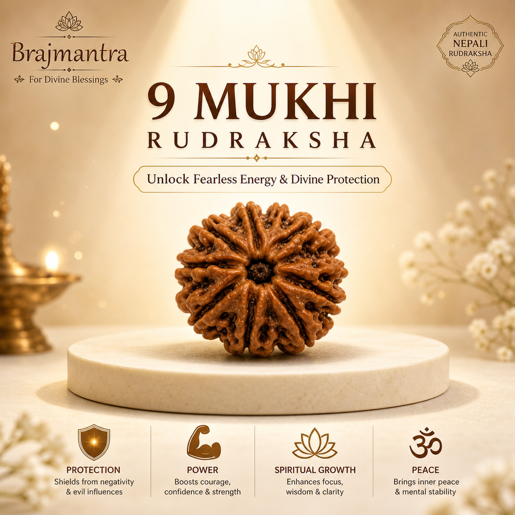 9 Mukhi Nepali Lab Certified Rudraksha