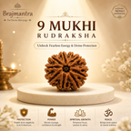 9 Mukhi Nepali Lab Certified Rudraksha