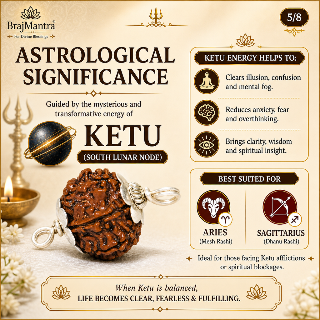 9 Mukhi Nepali Lab Certified Rudraksha