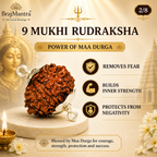 9 Mukhi Nepali Lab Certified Rudraksha