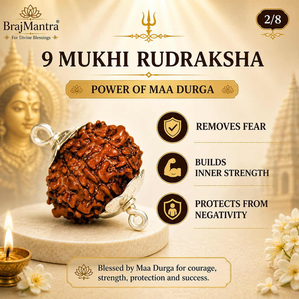 9 Mukhi Nepali Lab Certified Rudraksha