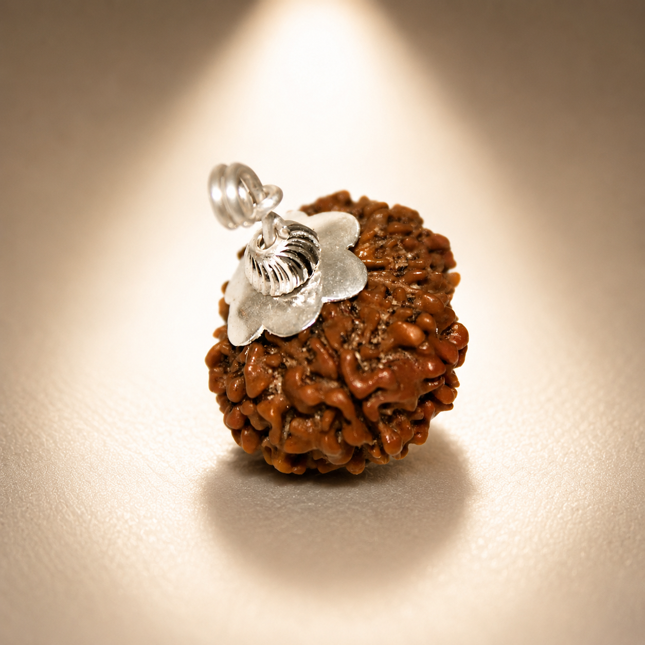 13 Mukhi Nepali Lab Certified Rudraksha