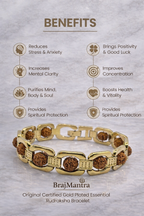 BrajMantra Original Gold Plated Rudraksha Bracelet – Certified Natural Rudraksha Beads | Stress Relief, Good Luck, Protection & Positivity | Unisex 8.5 Inch Adjustable