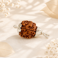 3 Mukhi Nepali Lab Certified Rudraksha