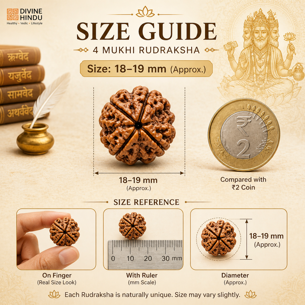 4 Mukhi Nepali Lab Certified Rudraksha