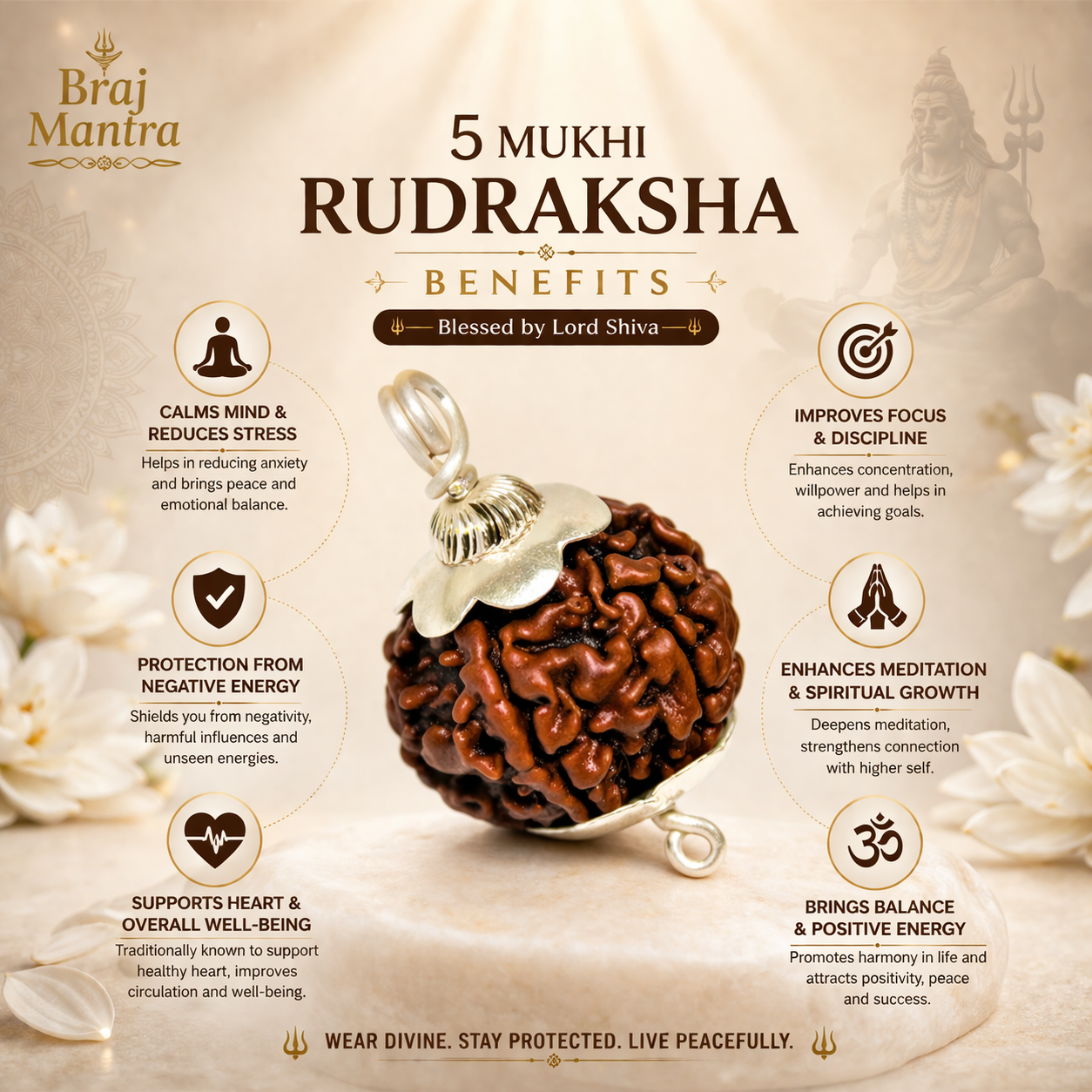 5 Mukhi Nepali Lab Certified Rudraksha