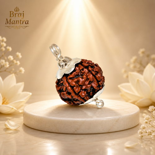 5 Mukhi Nepali Lab Certified Rudraksha