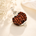 5 Mukhi Nepali Lab Certified Rudraksha