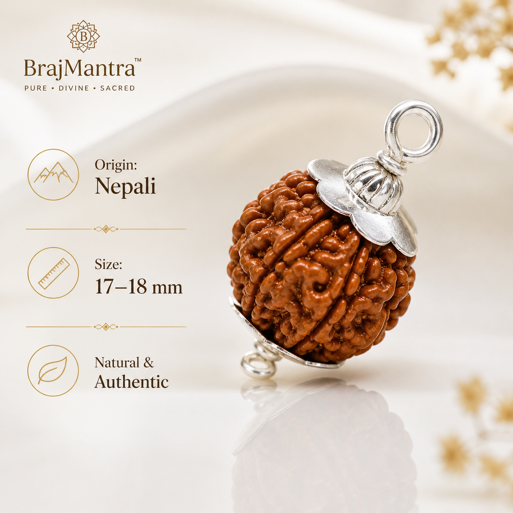 7 Mukhi Rudraksha (Nepali) | Original Bead for Wealth, Prosperity & Financial Stability | Shani Remedy | Energized by BrajMantra