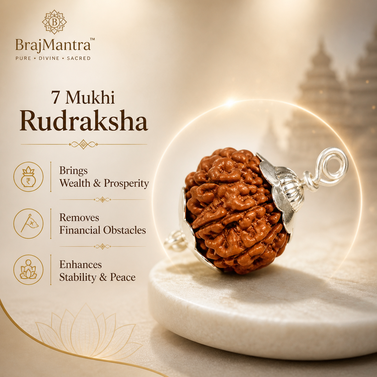 7 Mukhi Rudraksha (Nepali) | Original Bead for Wealth, Prosperity & Financial Stability | Shani Remedy | Energized by BrajMantra