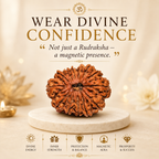 13 Mukhi Nepali Lab Certified Rudraksha